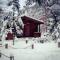 Honeybear Hideaway Cabin