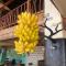 Anjiamarango Beach Resort - Nosy Be
