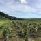 Le vigneron Au coeur des vignes à proximité des lacs et cascades lits faits à larrivée