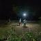 CAMP BIG CAT CORBETT, Hotel Resort booking, Dhikuli, Near Le Reserve,Jim Corbett Park, Ramnagar