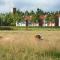 Ribe Byferie Resort - Ribe