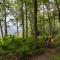 1 BR Cabin at Lodges at Eagles Nest - Gated Community - Banner Elk