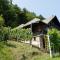 Vineyard Cottage Zajc