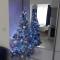 Luxury Apartment IVA