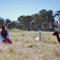 Glenview Alpaca Farm