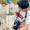 Glenview Alpaca Farm