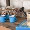Alacati LuCe Design Hotel - Special Category