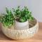 Ostoya Pucka Apartament by Noclegi Renters