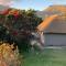 Wild Rose Country Lodge - Noordhoek