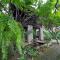 Baan Hanibah