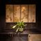 ROKA by HHG