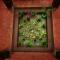 Nivaasana Bed & Breakfast