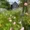 Mulleys Cottage (Bed and Breakfast) - 韦斯特尔顿
