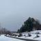 Silver Maple Motel