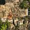 Beautiful Cottage near Harlech with ocean views