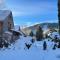 Ferienhaus Kreischberg - Silberhirschen Hütte