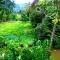 Rainforest River Bay - Деніяя