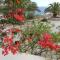 Tranquil Villa with Sea view in Ammopi Karpathos - Amoopí