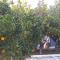 Lemonokipos, holiday house with private pool