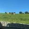 Muckruss Lodge Clonakilty An Oasis of Tranquility - 克洛纳基尔蒂