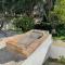Two Olive Trees - Spetses