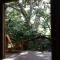Mombacho Lodge