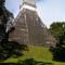 Zapote Tree Inn - 弗洛勒斯