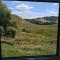 Karapiro Retreats holiday house