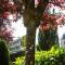 Auberge des Moulins photo 8