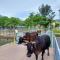 Silvermine Beach Resort - Hong Kong