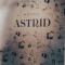 Hotel Astrid inklusive JokerCard & Pool