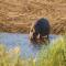 Kruger River Self-Catering