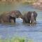Kruger River Holiday Home - Marloth Park