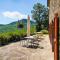 Locanda del Viandante - Valle Apartments & Pool - Anghiari