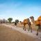 Karwaan Jaisalmer
