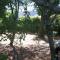 Holiday Home Momcilovic Holiday Home Momcilovic