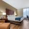 Comfort Inn Binghamton I-81
