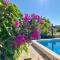Villa ISLAND VIR with pool