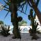 Le Palme Holidays