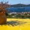 Villa Delfin