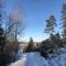 Chalet Holmen