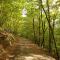 Fewo Rheinwein 1 "ausgezeichnet zum wandern und radfahren" mit Wallbox - Boppard