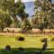 Marigold Cottage, A Blue Mountains Oasis- Spacious, Views & Kangaroos - Little Hartley