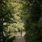 Forest Camping Mozirje - 莫济列