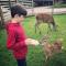 Luxury Safari Lodge surrounded by deer!! 'Fallow' - Crediton
