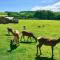 Luxury Safari Lodge surrounded by deer!! 'Fallow' - Crediton