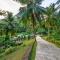 The Divine Villa