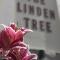 Linden Tree - Gloucester