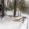 Chic Alpine Hideaway Hiking, Skiing and Exploring! - Running Springs