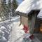 Chalet Pehta Velika Planina